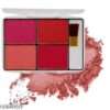 Makeup blusher