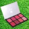 Makeup blusher