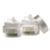 Lotus Herbals Lotus Professional Phyto-RX Day & Night Cream Combo, 50gm+50gm