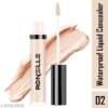 Waterproof liquid concealer