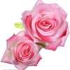 Women rose gajra clips pack of 2 - Image 2