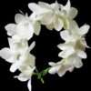 Gajra flowers for women