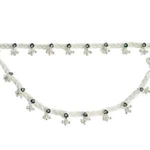 Fancy  Payal