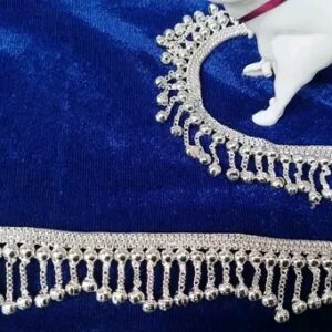 Elegant  Payal