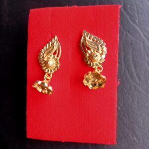 Classy Earrings and studs
