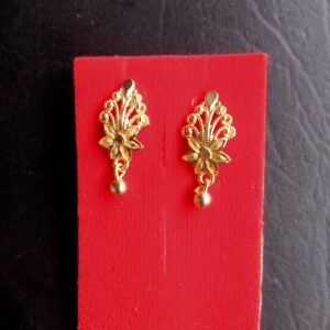 Citygold Earrings and studs