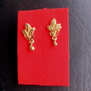 Citygold Earrings and studs