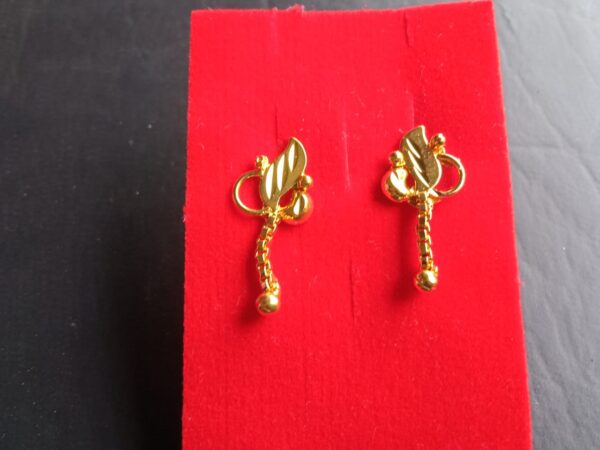 Classy Earrings and studs