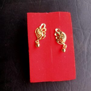 Citygold Earrings and studs