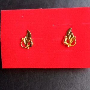 Classy Earrings and studs