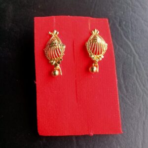 Citygold Earrings and studs