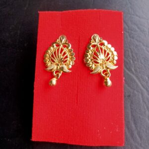 Citygold Earrings and studs