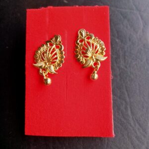 Citygold Earrings and studs