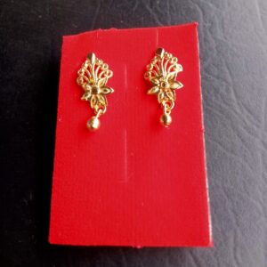 Citygold Earrings and studs
