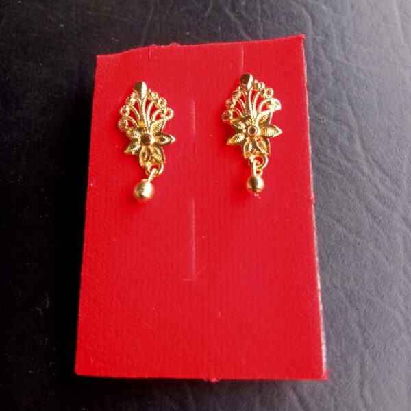 Citygold Earrings and studs