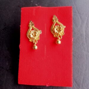 Citygold Earrings and studs
