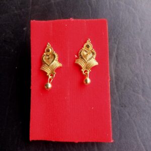 Citygold Earrings and studs