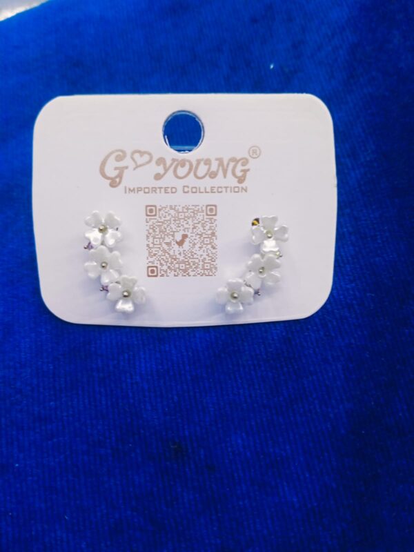 Important New  Fancy Earrings