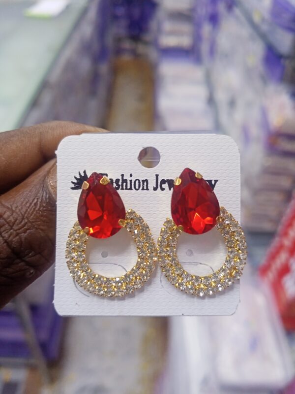 Graceful Earring And Studs