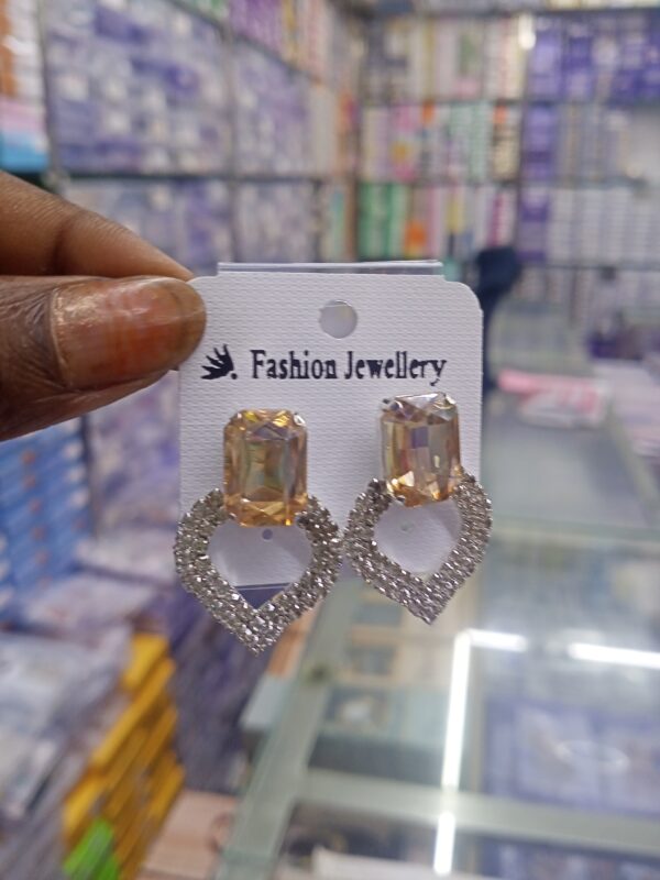 Graceful Earring And Studs