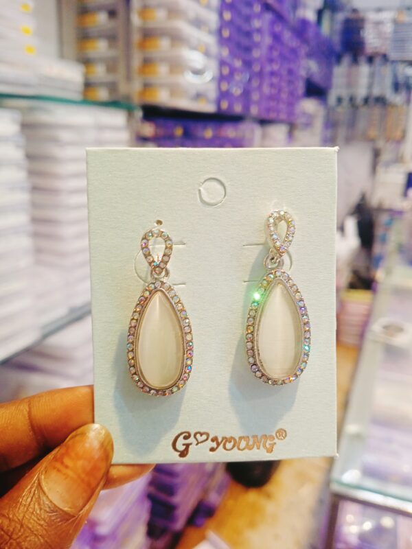 Fashionable Earrings and studs