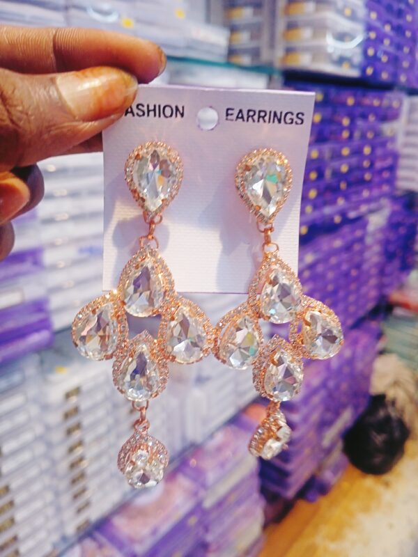Unique Design Long Earrings