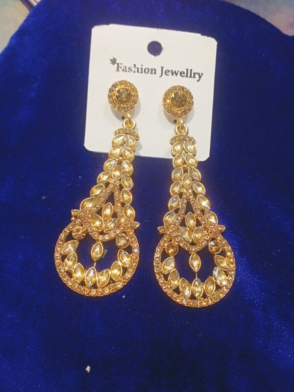 Unique Design Long Earrings