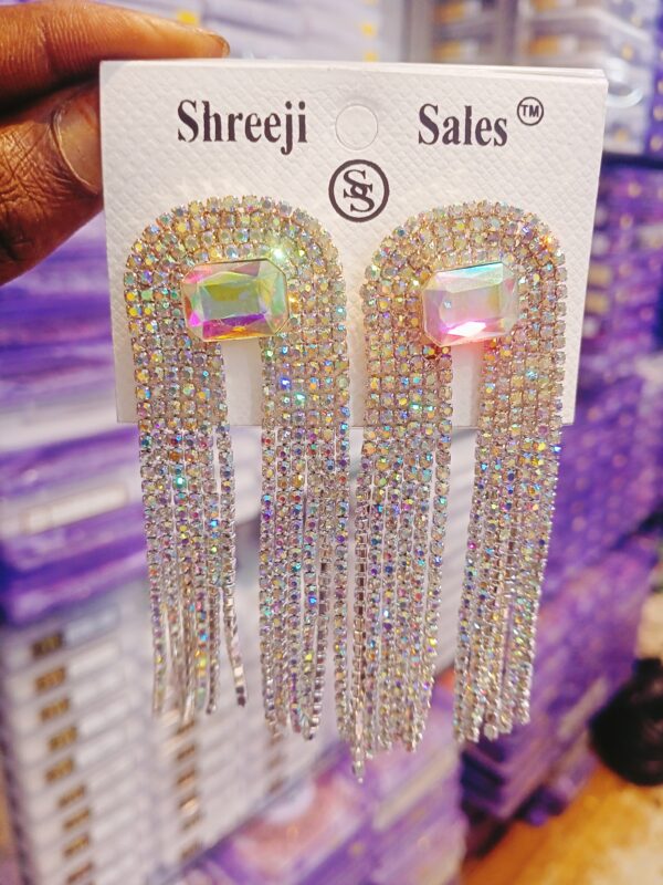 Unique Design Long Earrings