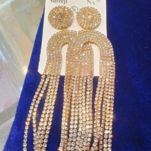 Unique Design Long Earrings