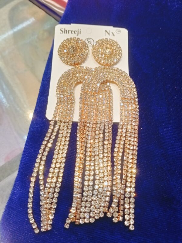 Unique Design Long Earrings