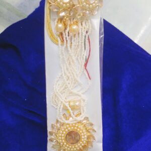 Stylish Necklace with Earrings